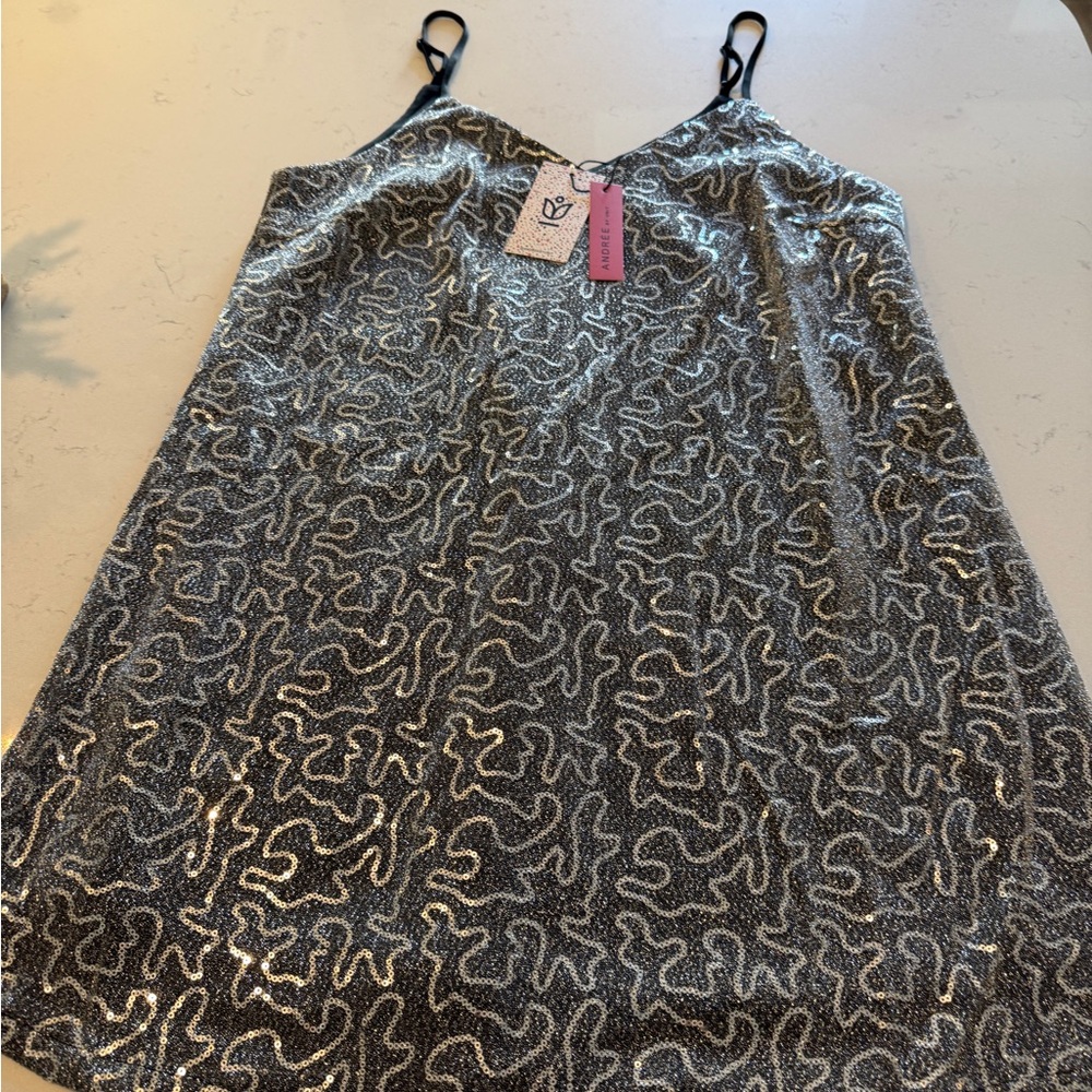 Silver Sequin Dress